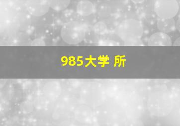 985大学 所